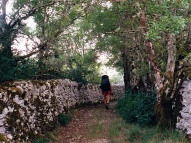 Walking in France   Why walk in France?