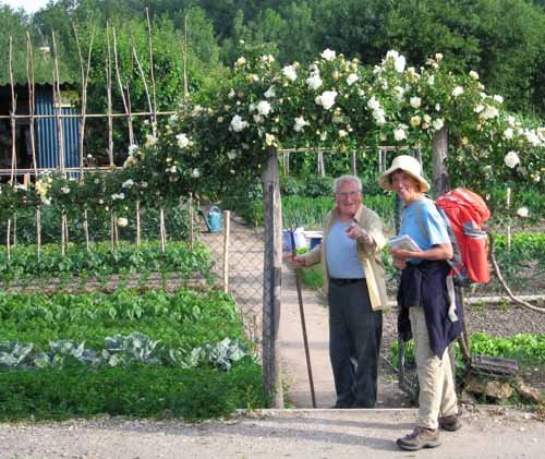 Discussing a vegetable garden with a local