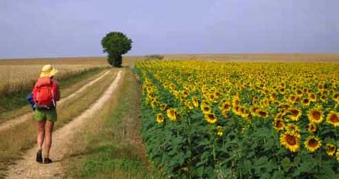 Half a day from the Loire Half a day from the Loire