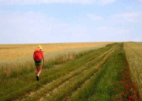 On the way to Chablis Walking in France How far to walk per day