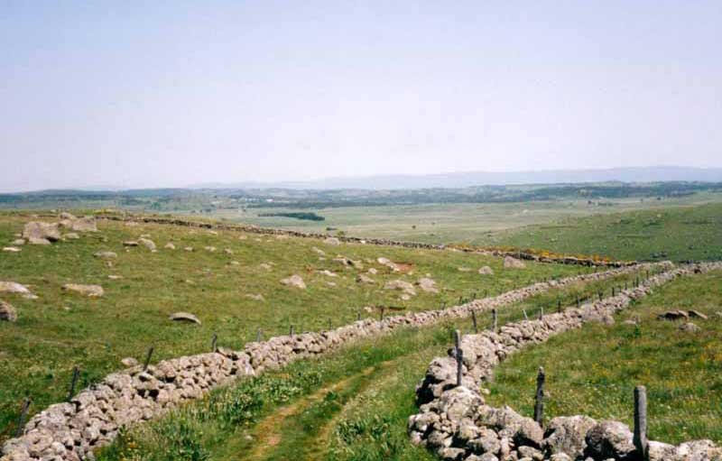 Walking in France: Old path across the Aubrac