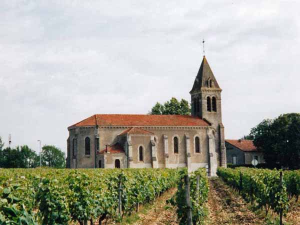 Walking in France: Church surrounded by vines, Thézac