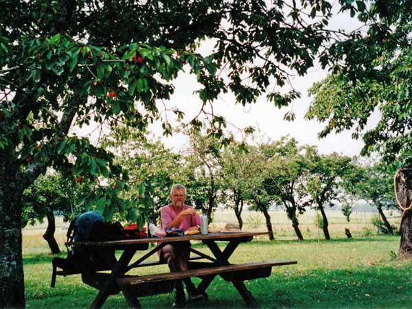 Walking in France: Lunch at the camping ground in an old cherry orchard