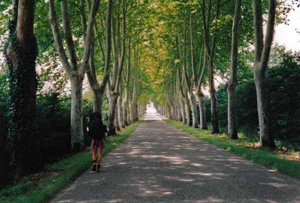 Walking in France: The road into Nogaro