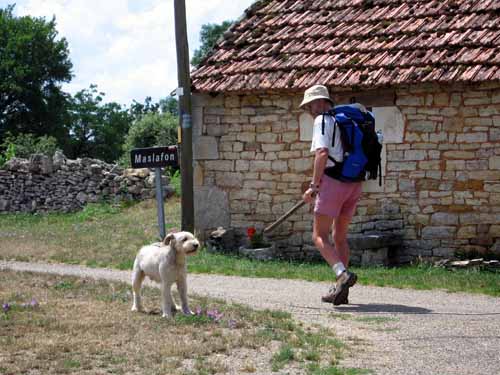 Walking in France: A not so angry French dog