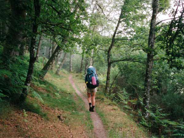 Walking in France: Walking through the forest near Golinhac