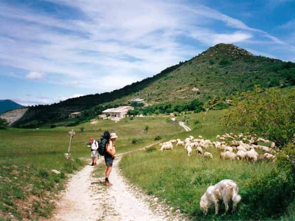 Walking in France: Path through a wild herb garden