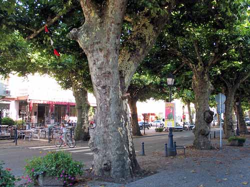 Walking in France: Two cafés under a canopy of plane trees, Maubourguet