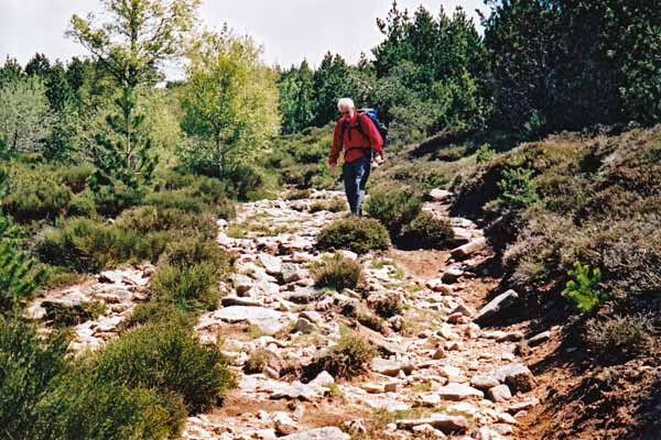 Walking in France: Descending on a scoured-out stream bed