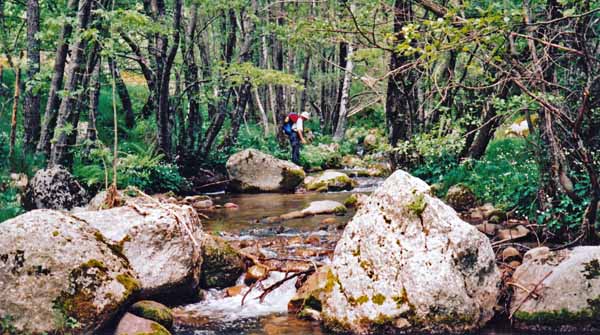 Walking in France: Crossing a stream on stepping stones