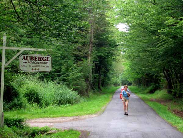 Walking in France: On a quiet road through the forest