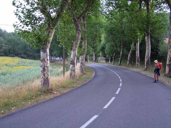 Walking in France: On the road to Lautrec