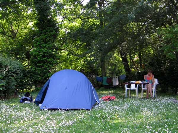 Walking in France: Camping on the daisies in Vouvray