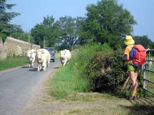 Walking in France: Giving some locals a wide berth