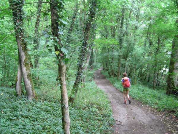 Walking in France: Following the Cure river in the forest