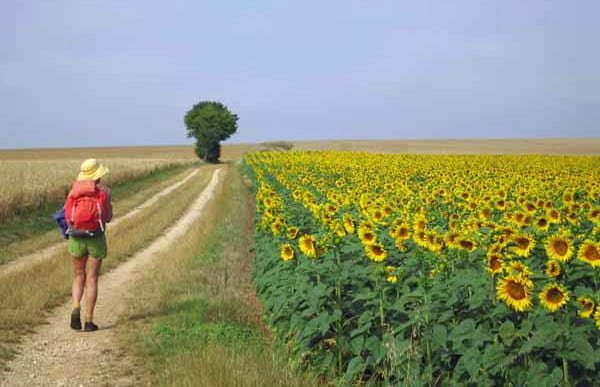 Walking in France: Half a day from the Loire