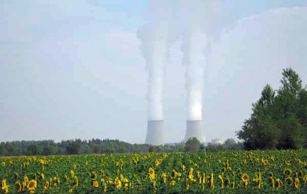 Walking in France: Nuclear sunflowers