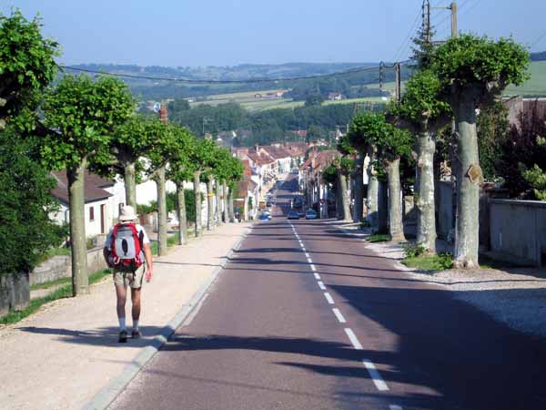 Walking in France: Saint-Léger-sur-Dheune with an avenue of brutally lopped plane trees