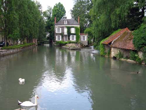 Walking in France: Swans on the Nohain, Donzy