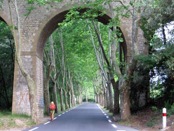 Walking in France: Approaching Arpaillargues