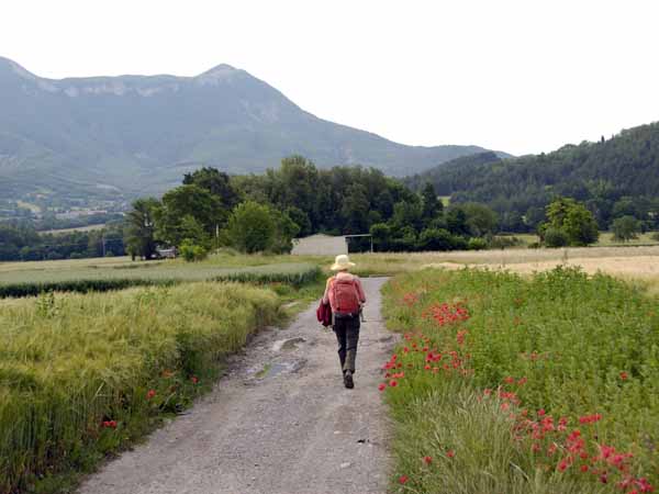 Walking in France: On the cycle path