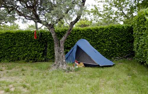 Walking in France: Camping under an ancient olive tree, Volonne