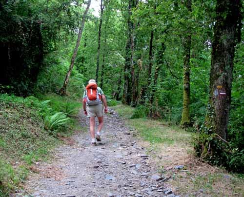 Walking in France: A stiff climb out of Le Saillant Vieux on the GR46