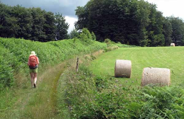 Walking in France: Approaching Lacelle