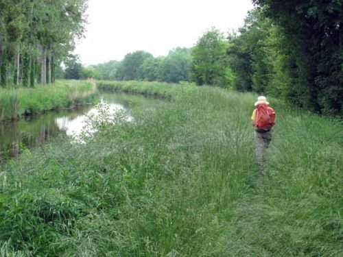 Walking in France: Heavy going in the long wet grass