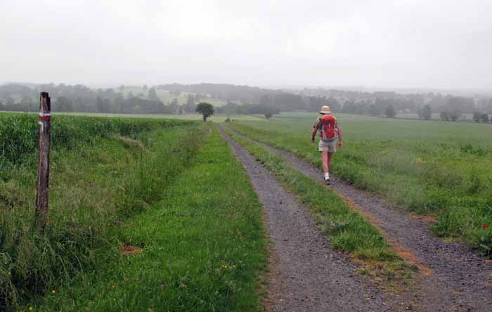 Walking in France: Approaching Sarzay