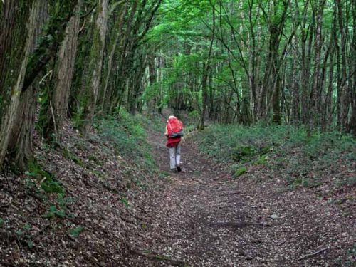 Walking in France: Deep in the forest approaching Crozant