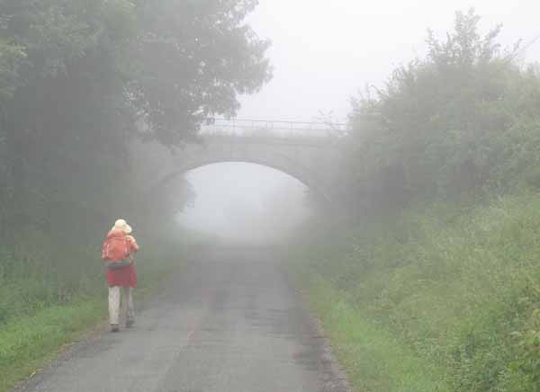 Walking in France: In the mist approaching Saint-Pastour on a disused railway line