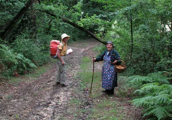 Walking in France: Meeting a mushroom collector deep in the forest