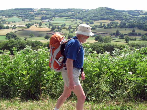 Walking in France: Passing through some fine Burgundian countryside on the way to Trambly
