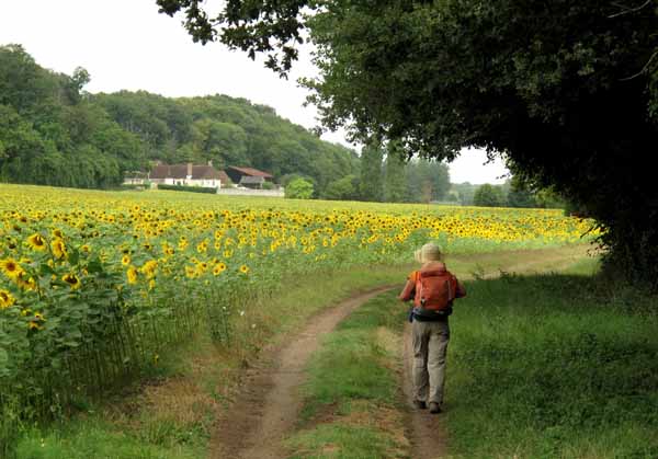 Walking in France: About to leave the GR and join the road to Saint-Avertin