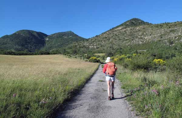 Walking in France: Crossing a flowery meadow