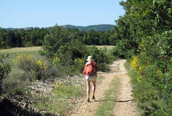 Walking in France: On the old road from Aurel to Sault