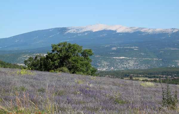 Walking in France: Our last view of Mont Ventoux