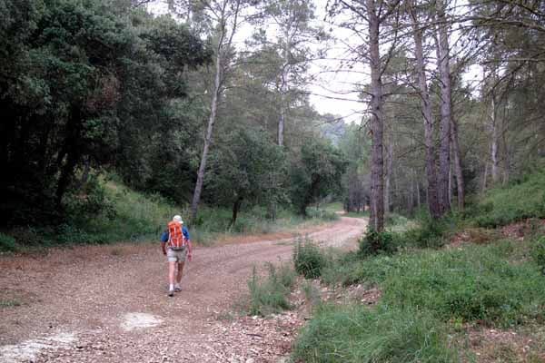 Walking in France: Unexpectedly in the Alpilles