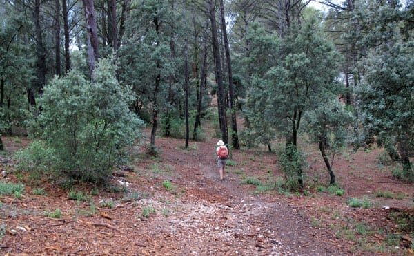 Walking in France: Leaving the camping ground on the GR