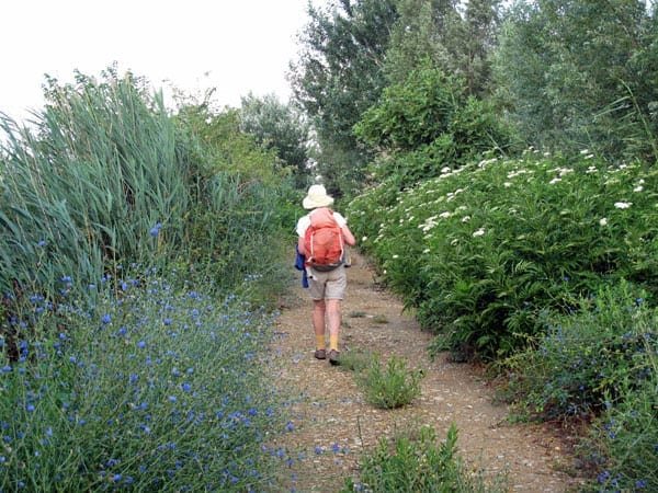 Walking in France: The track beside le Canal de la Vallée des Baux - the D33