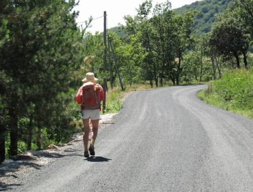 Walking in France: On the final eight kilometre road bash to Lodève