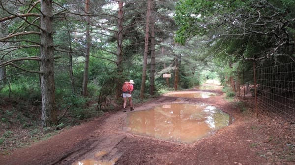 Walking in France: Puddles as wide as the road