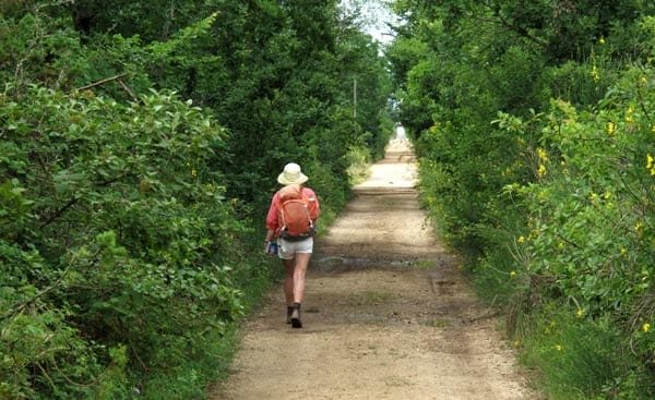 Walking in France: The final straight walk to L'Hospitalet