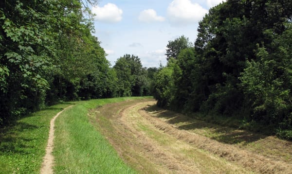 Walking in France: Hay field in the canal