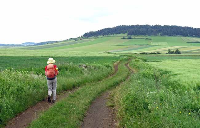 Walking in France: In the Cévennes