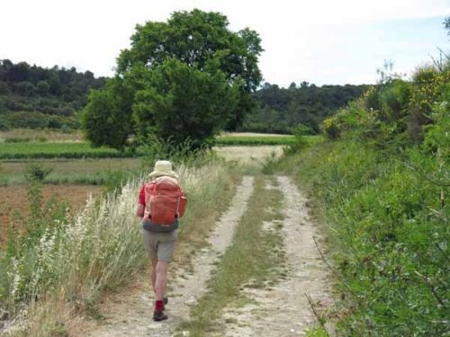 Walking in France: Back in the countryside