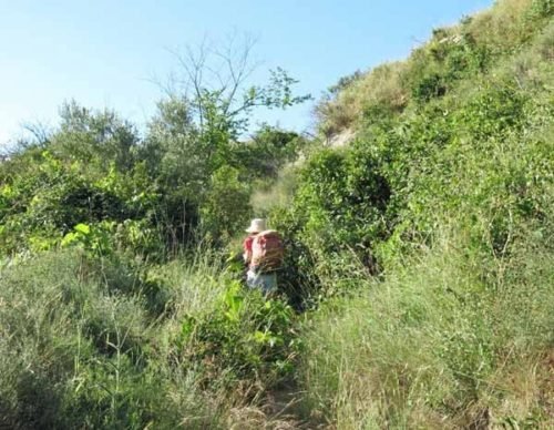 Walking in France: The back way into Poussan