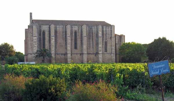 Walking in France: The church of Ste-Cécile surrounded by vines, Loupain