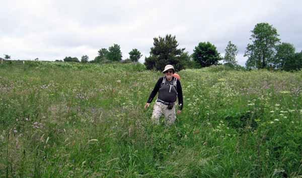 Walking in France: Lost in the weeds
